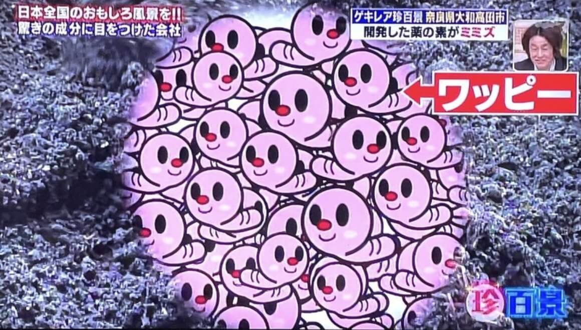テレビ番組「ナニコレ珍百景」で放送されたワキ製薬のマスコット、ワッピーの写真