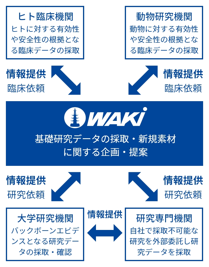 ワキ製薬の研究開発体制を表す図。ワキ製薬は、ヒト臨床機関、大学研究機関、研究専門機関、動物研究機関、それぞれと情報交換を行い、研究・臨床データの採取・確認や、新規素材に関する企画・提案を行っています。