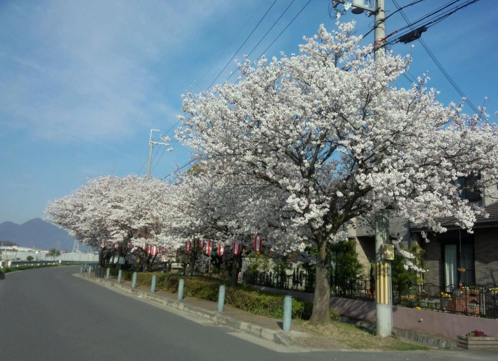 rps20140402_123557.jpg